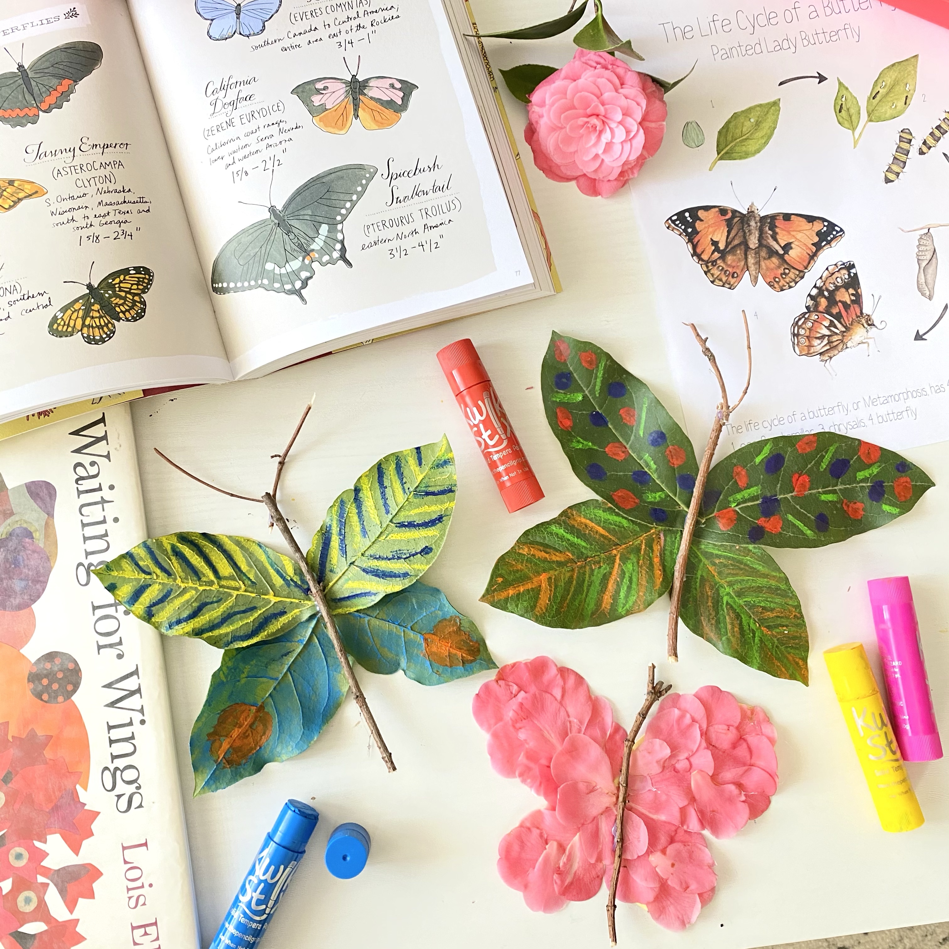 How to Plan a Unit Study in 5 Steps