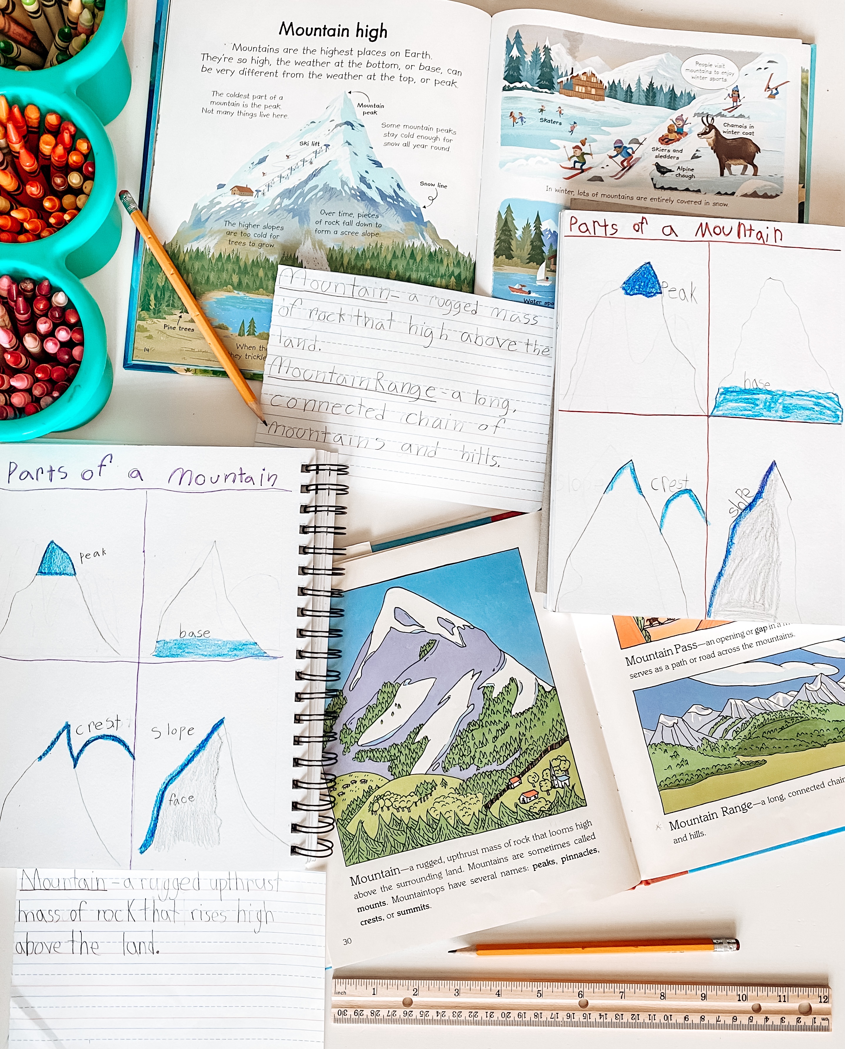 Mountain (Alpine) Biome Unit Study