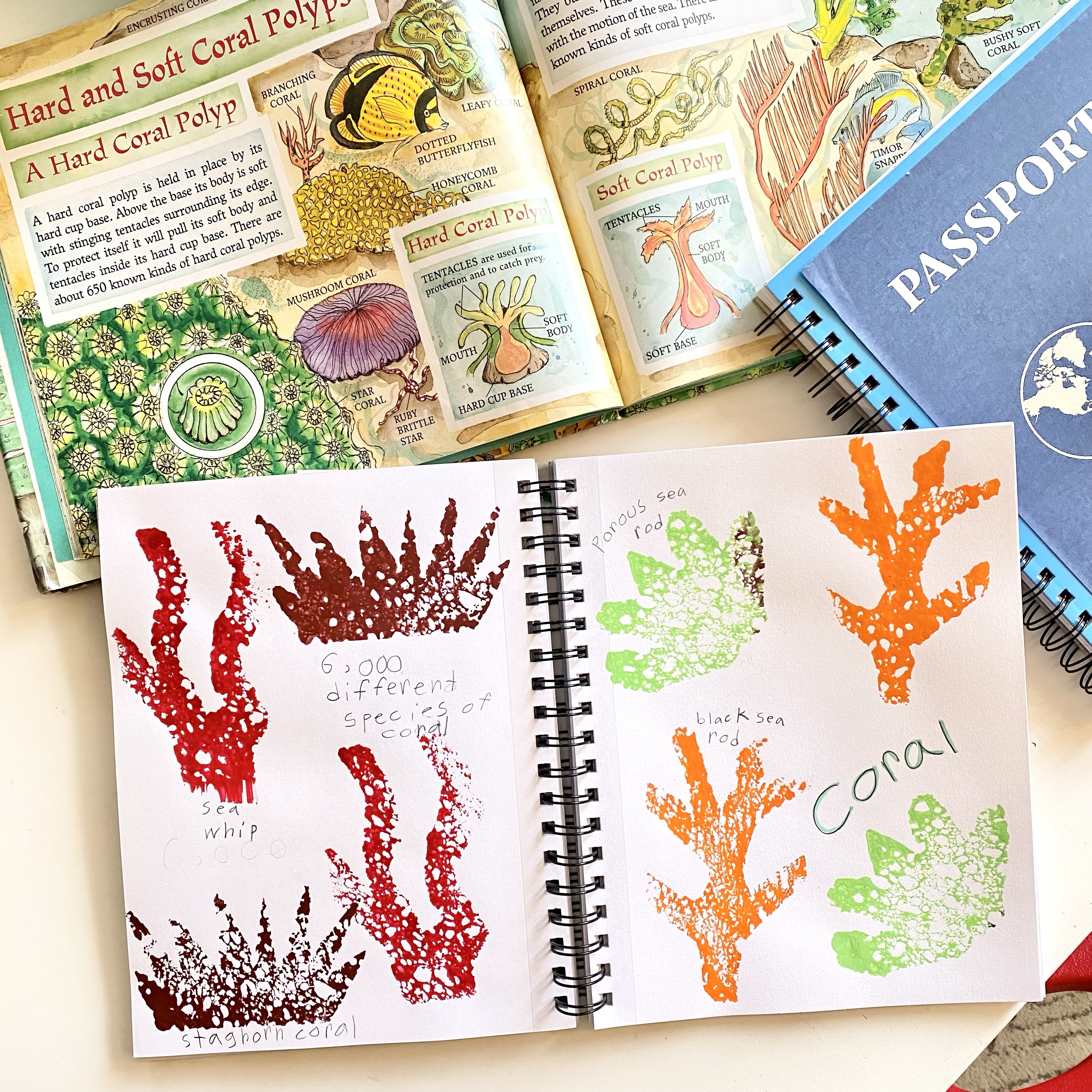 Coral Reef Biome Unit Study