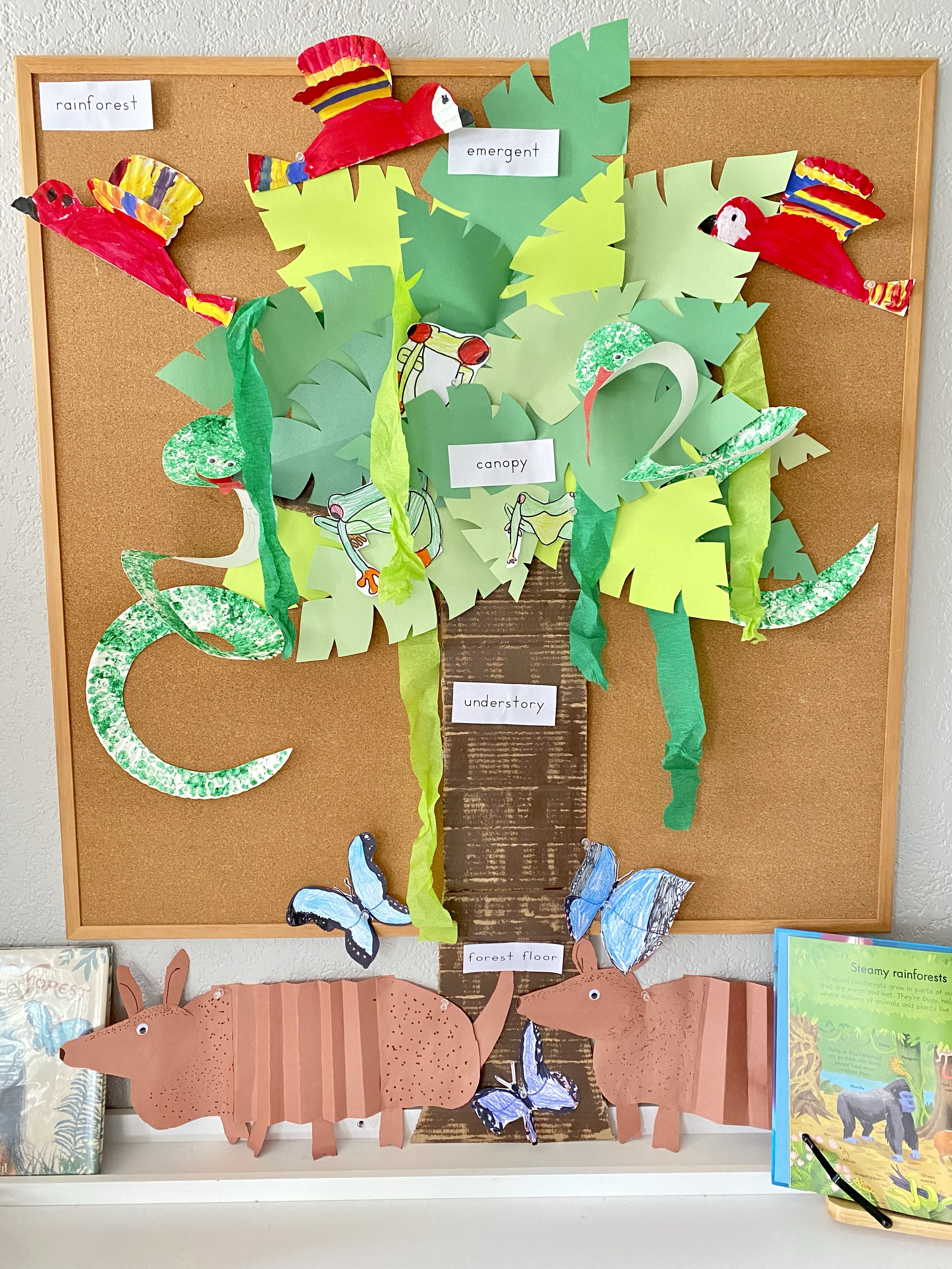 Around the World: Brazil Unit Study & Rainforest Biome