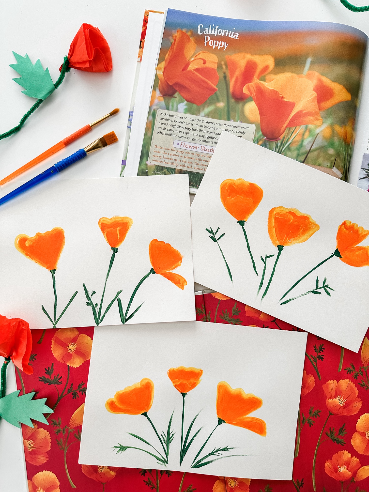 California History Activities