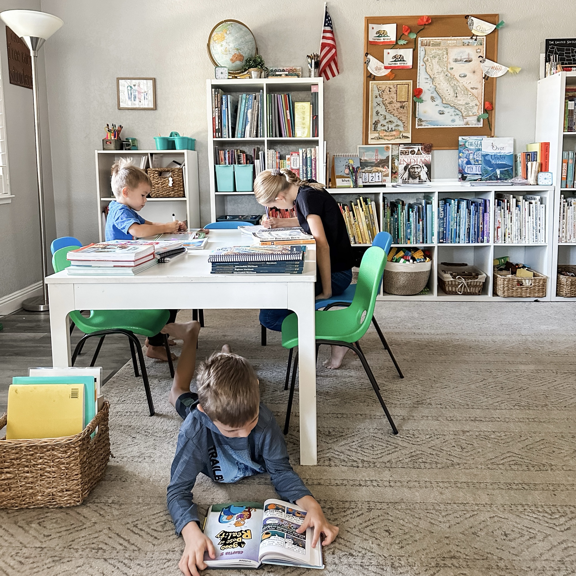 Mid-Year Homeschool Update